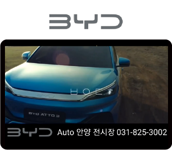 BYD